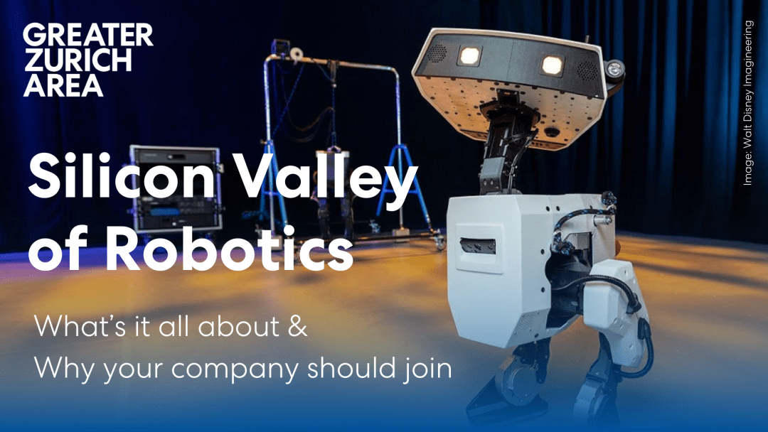 Silicon Valley of Robotics - what's it all about