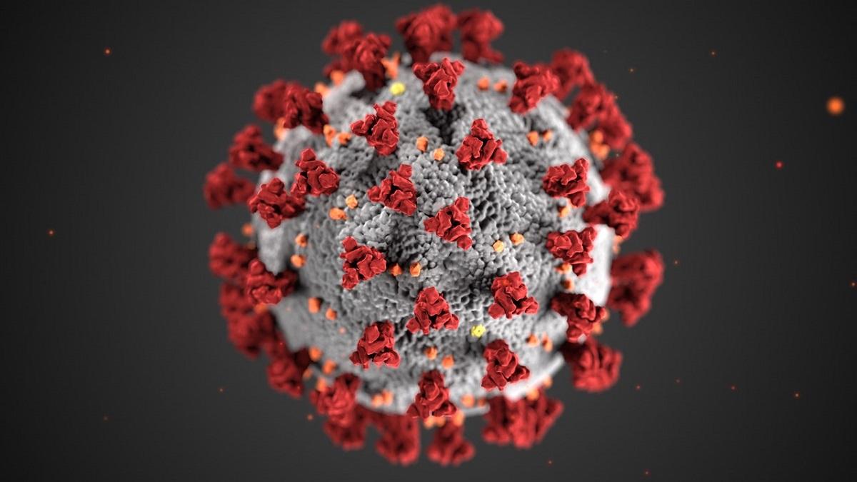 Coronavirus illustrated. Image: CDC/Pexels