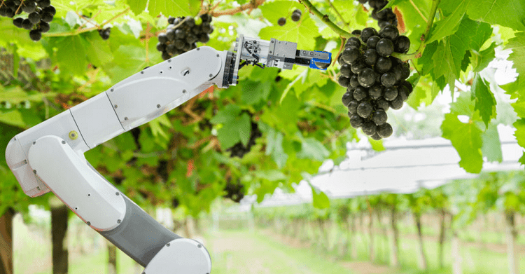 Robotics im Weinbau Greater Zurich Area