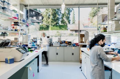 Superlab Suisse flexible lab space