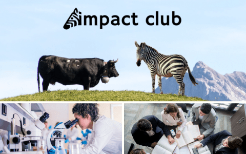 Impact Hub Ticino nominates ten projects for first incubator